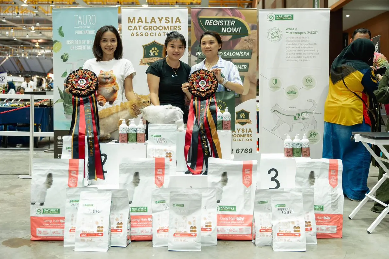 Malaysia Cat Grooming Competition 2025